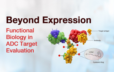 Beyond Expression: Functional Biology in ADC Target Evaluation